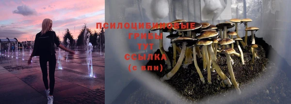 прущий лед Пересвет