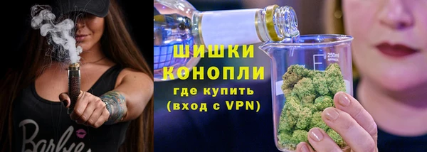 прущий лед Пересвет