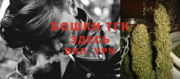 прущий лед Пересвет